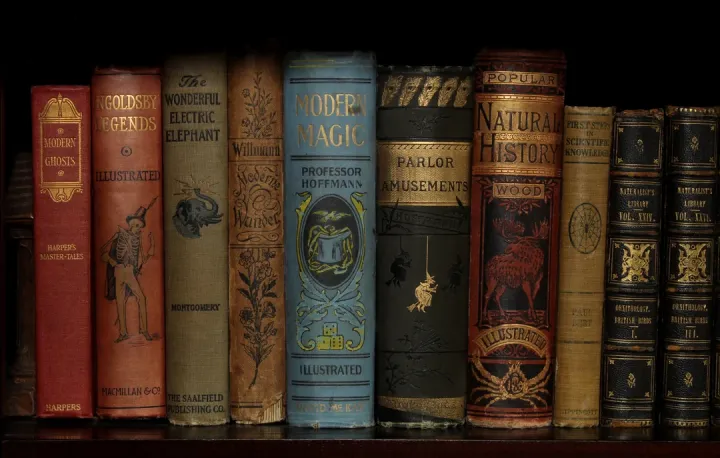 «Некоторые из моих старинных книг.».