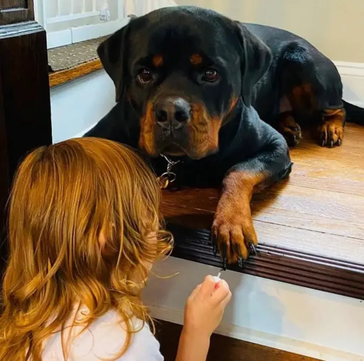 Кажется, клиент не очень доволен.