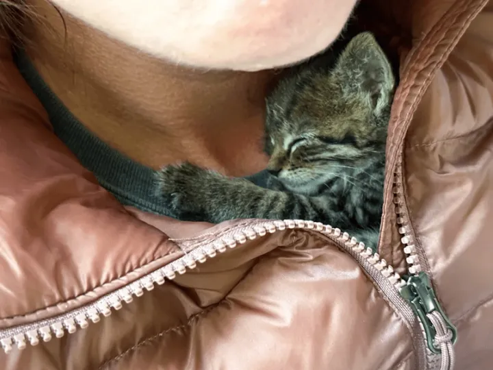 «Очаровательная находка в мусорном контейнере трехнедельной давности».