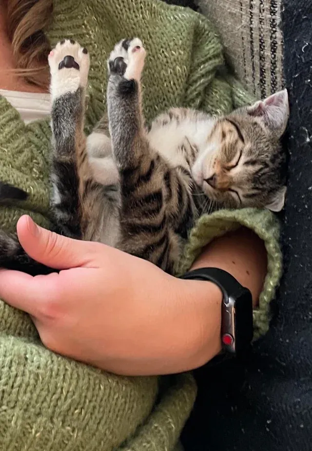 «Её ножки».