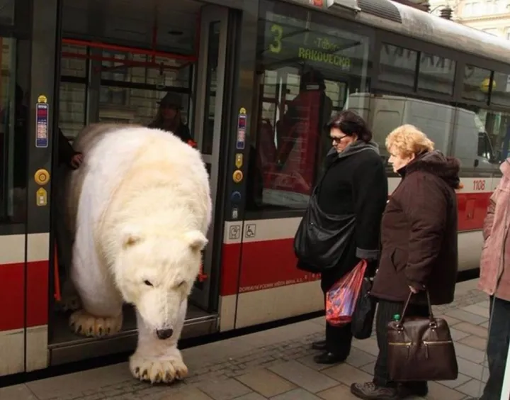 Подумаешь, ничего необычного.