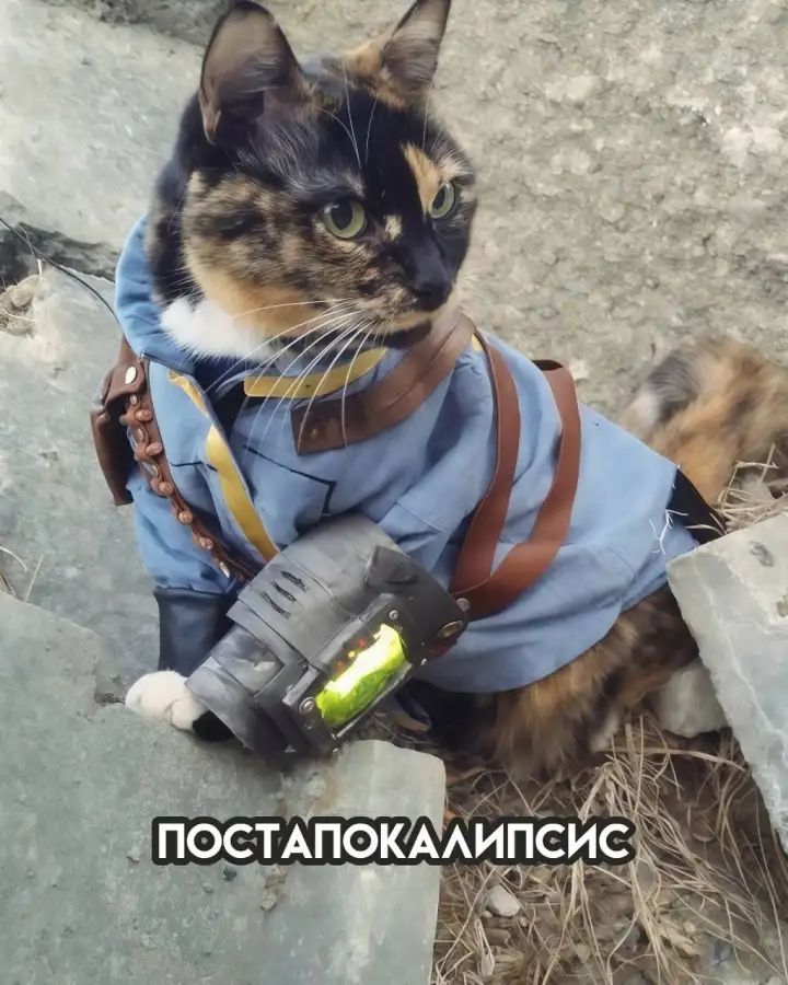 Постапокалипсис.