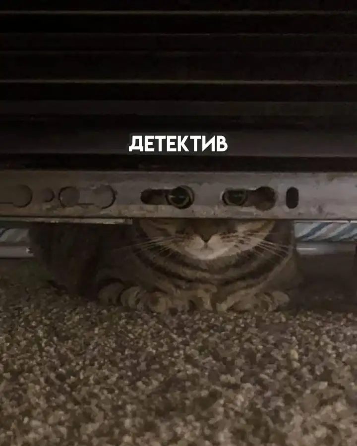 Детектив.