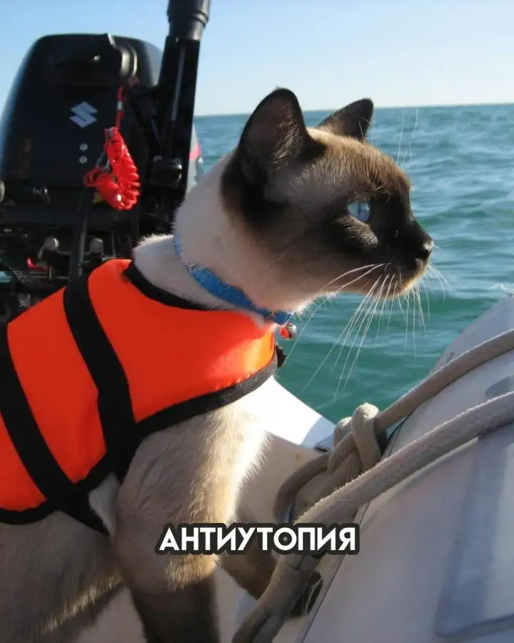 Антиутопия.