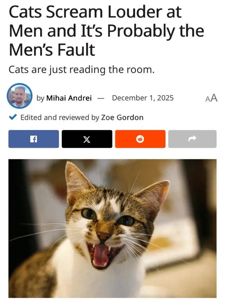 Скриншот оригинальной статьи.