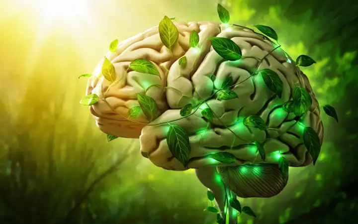 Мозг и природа.