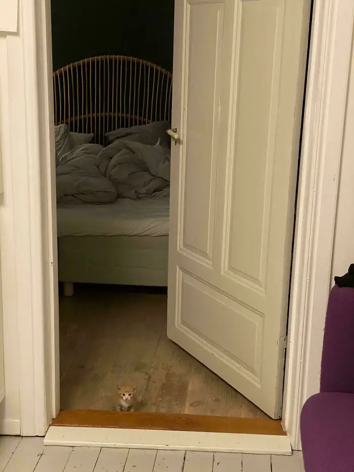 Ну как можно быть таким крошечным?