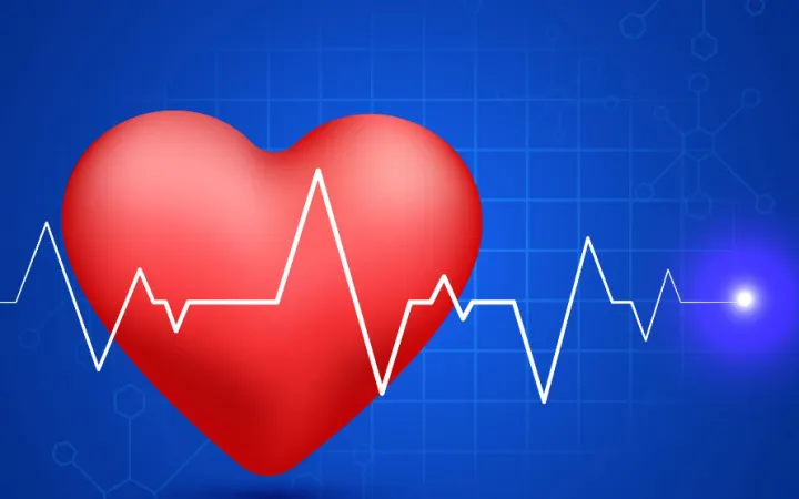 Сердечный ритм.