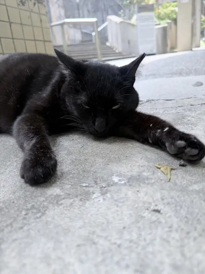 Провести необходимый анализ.