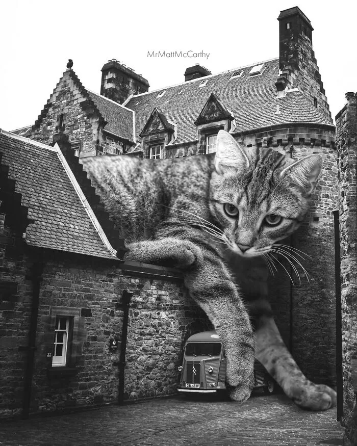 «Если я влезу, я сяду».