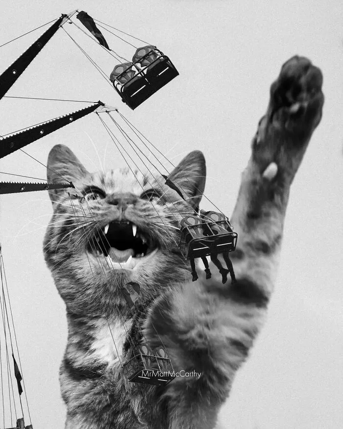 Отличная новая игрушка.