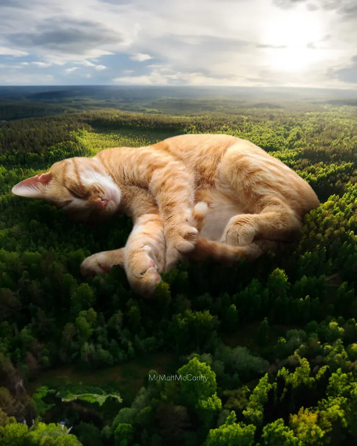 Идеальная лежанка.