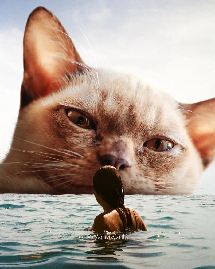 «Я слежу за тобой, кожаная».