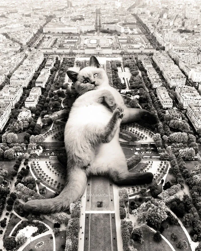 Кто-то гигантский должен почесать ему пузико.