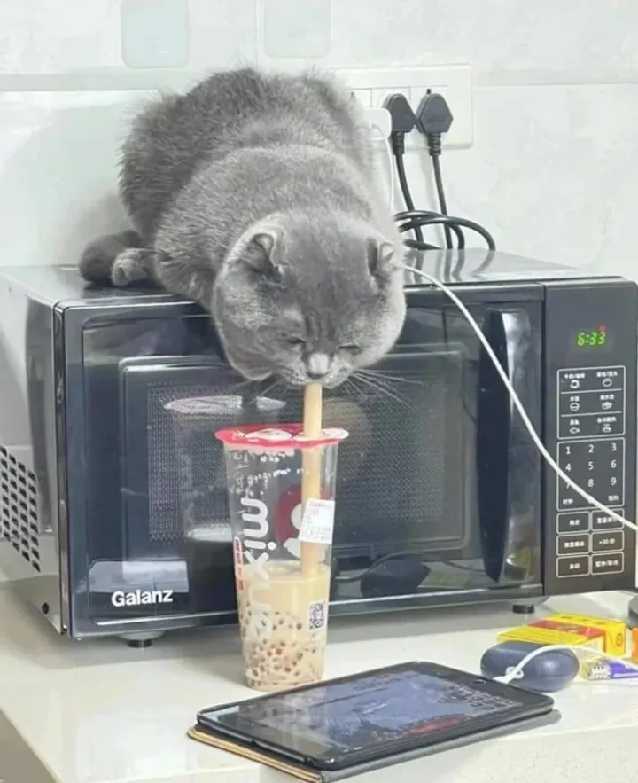 «Я выпью немножко?»