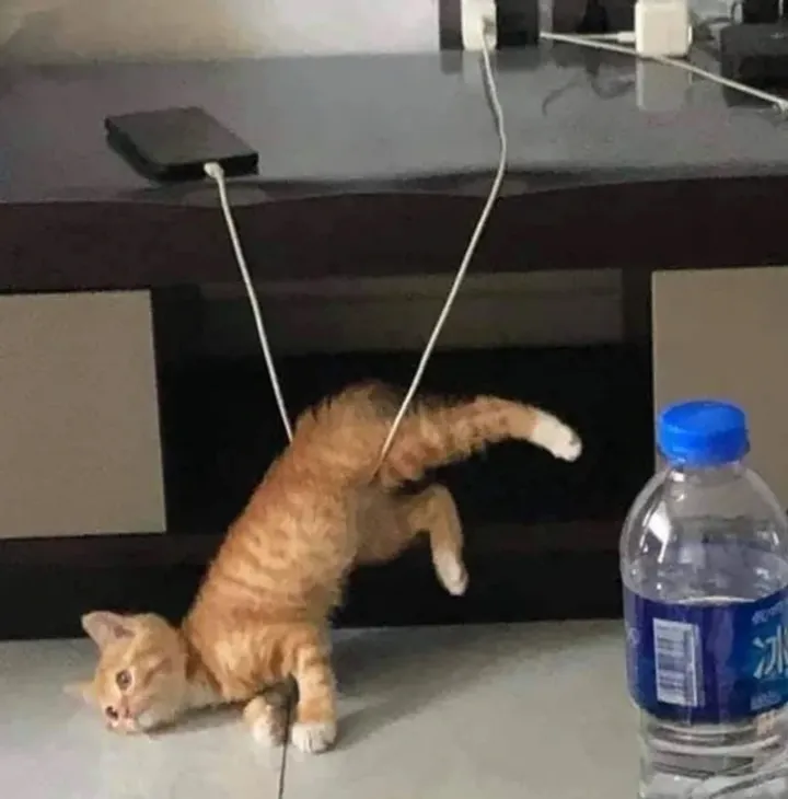 «Неуклюжий ниндзя».