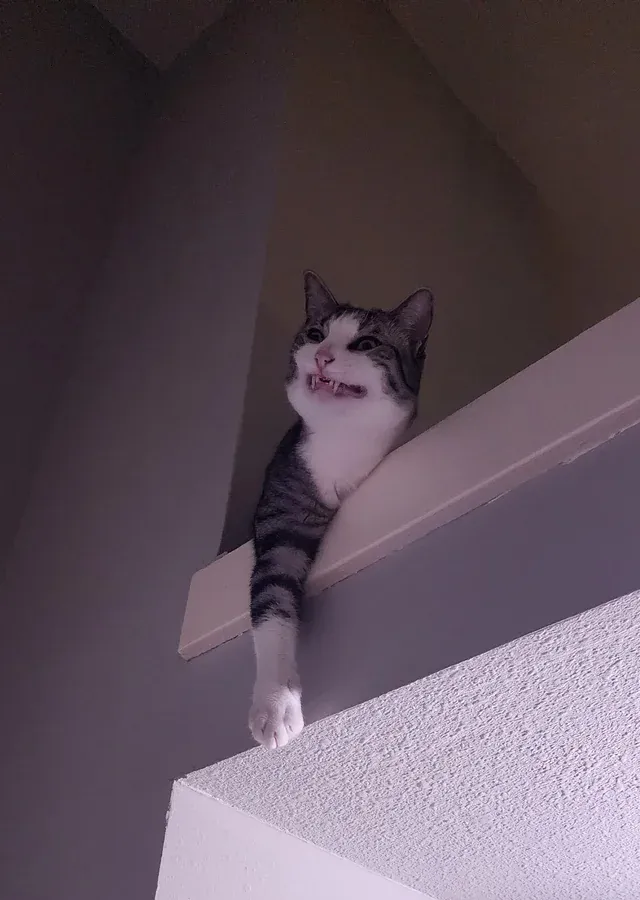 «Ужасное зрелище, когда ты просто пытаешься принять ванну».