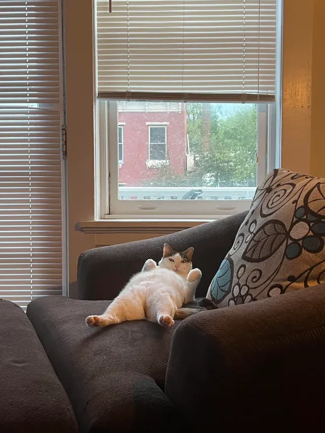 «Венера любит свою новую жизнь».