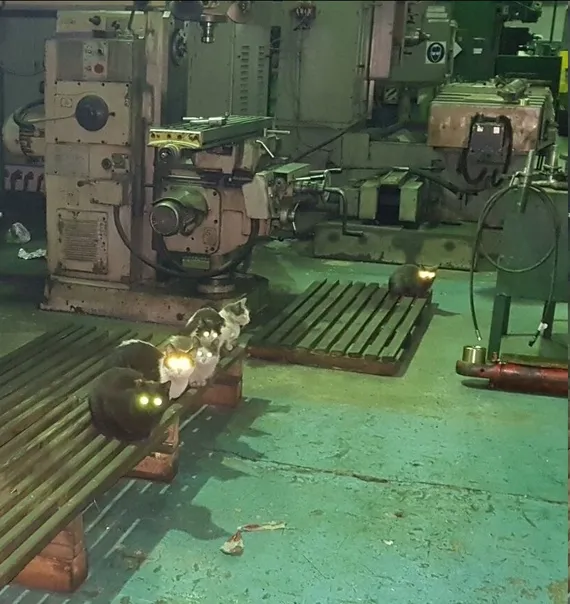 Ночная смена.