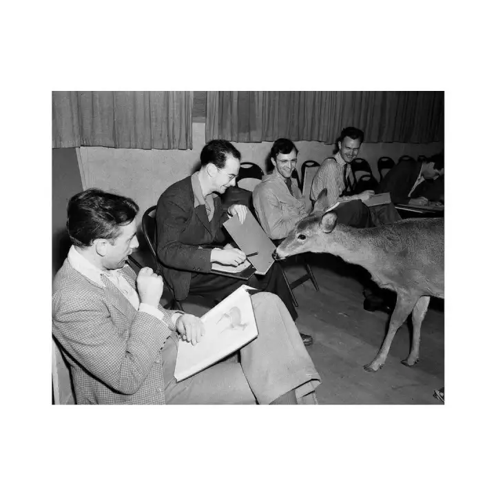 Художники Disney изучали настоящего оленя, чтобы сделать «Бэмби».