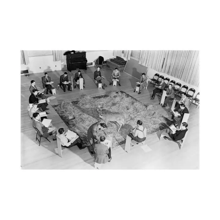 Ребята не умели рисовать этих животных, поэтому в течение 9 месяцев они сидели в кругу вокруг двух живых оленей, Бэмби и Фалины, и рисовали их движения.