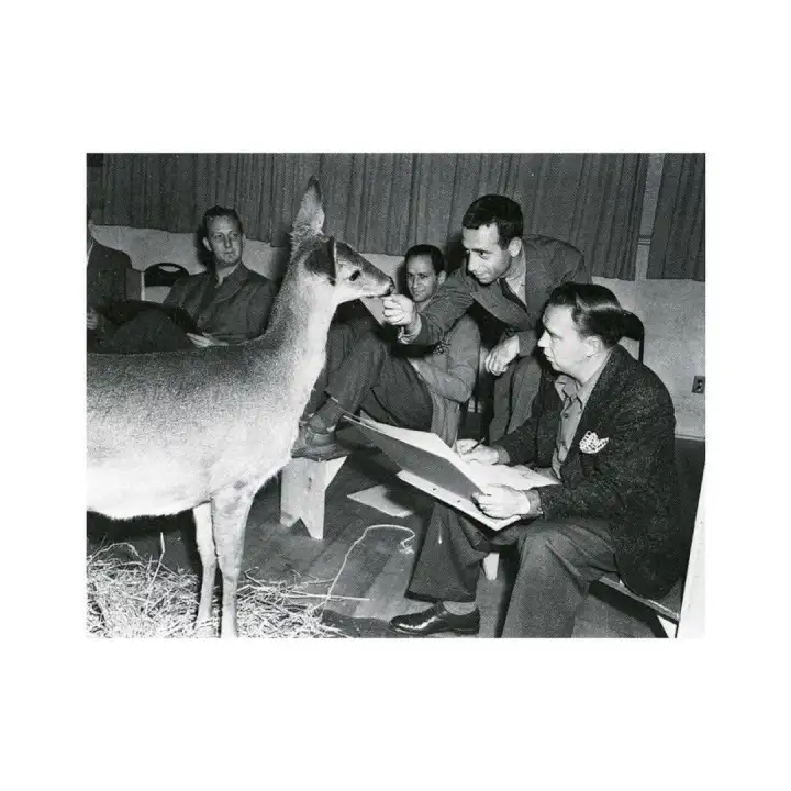 В итоге сделали около 2 миллионов рисунков, из которых в фильм попало всего 400 тысяч.