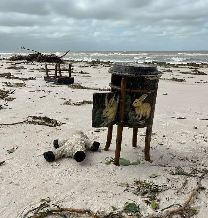 «Пляж утром после урагана Иэн». 