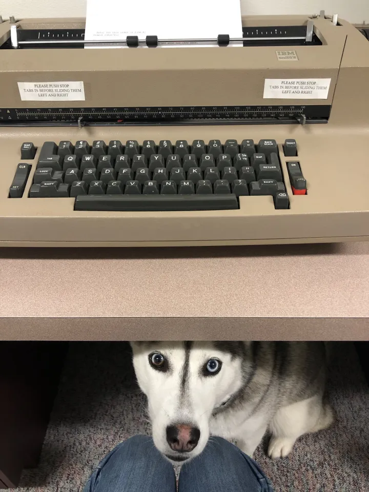 «Вам нужна помощь?»