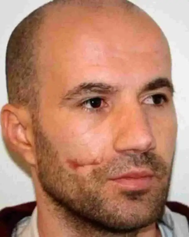 Тома Таулант.