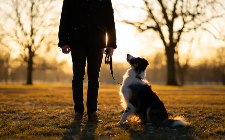 Собака с хозяйкой.