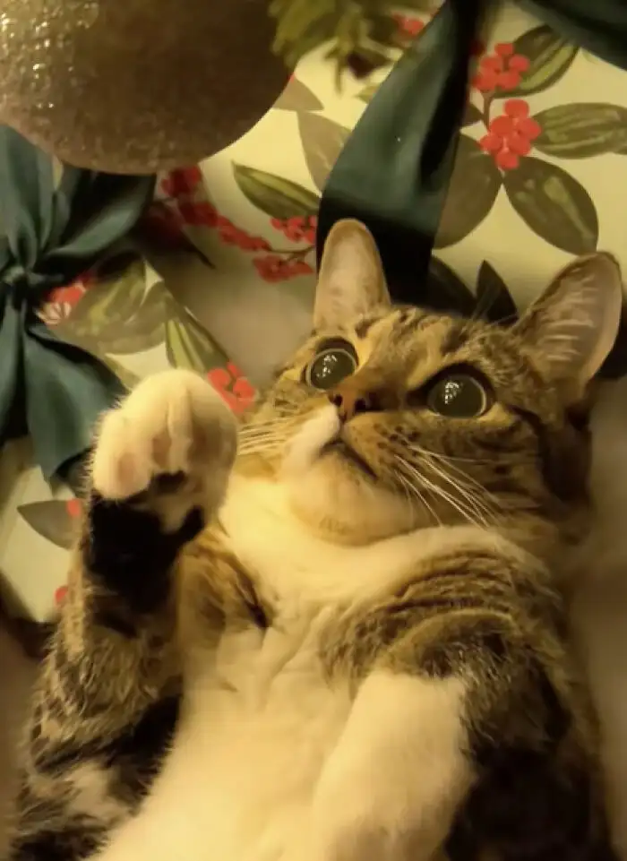 «Какая красота».