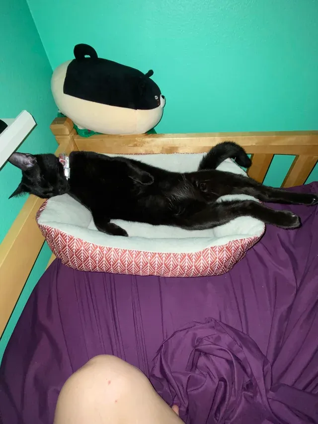 «Она так сладко спит».