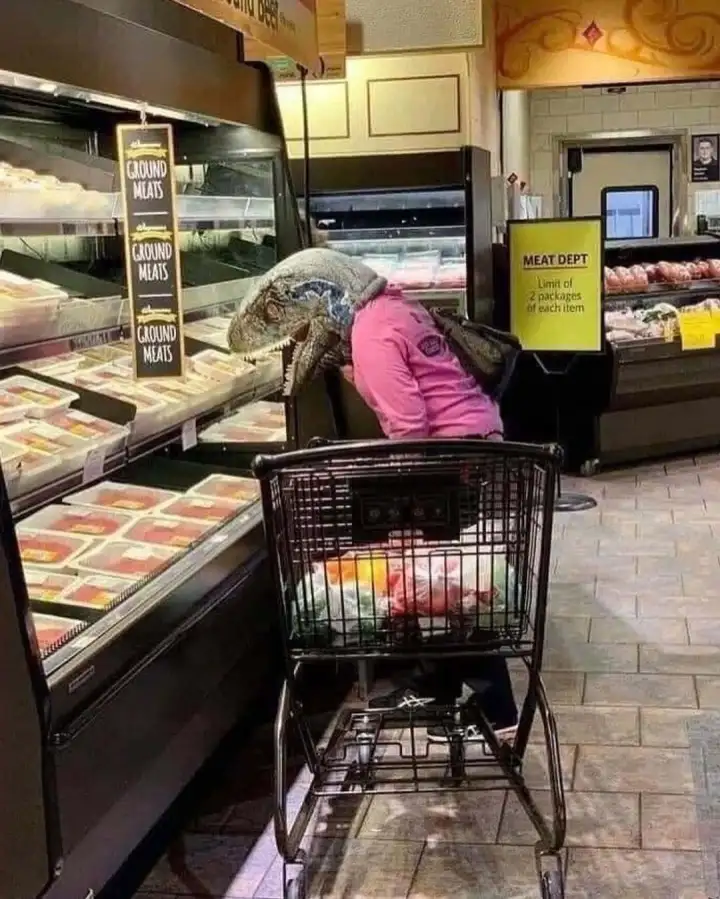 Вряд ли девушка в маске вымерших динозавров вселяла оптимизм в окружающих.