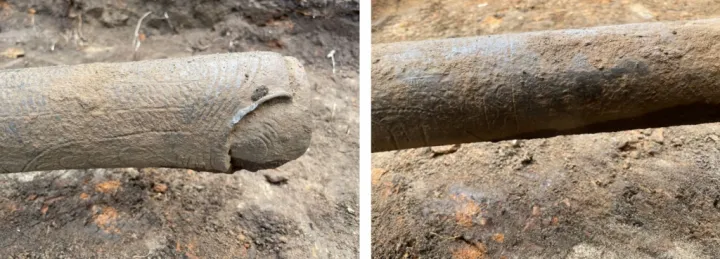 Ствол пищали покрыт орнаментом в виде змеиной чешуи и головы.