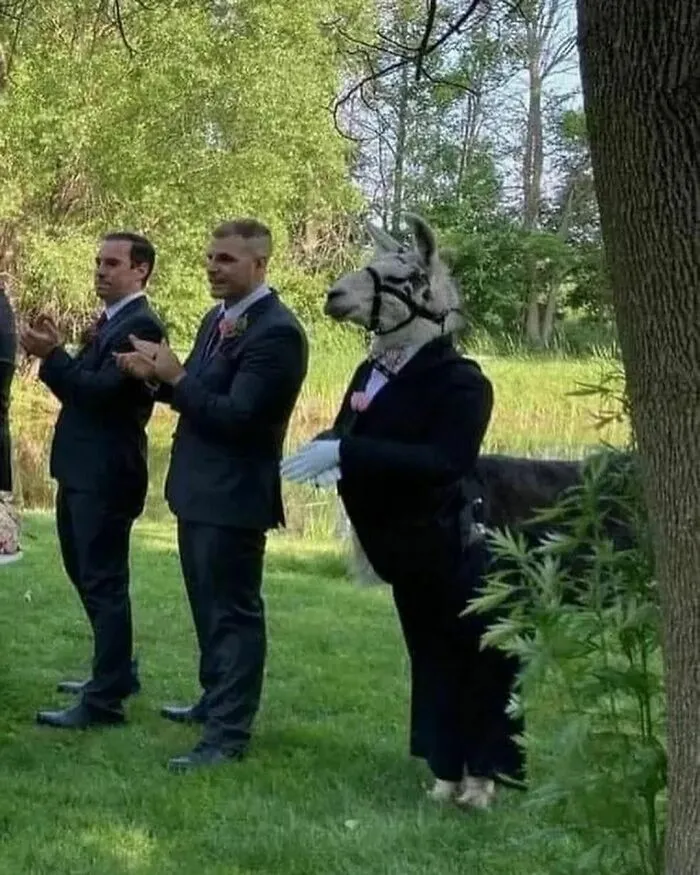 Какой интересный приятель жениха.