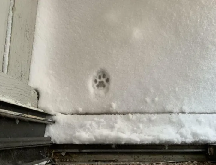 Коротко о погоде.