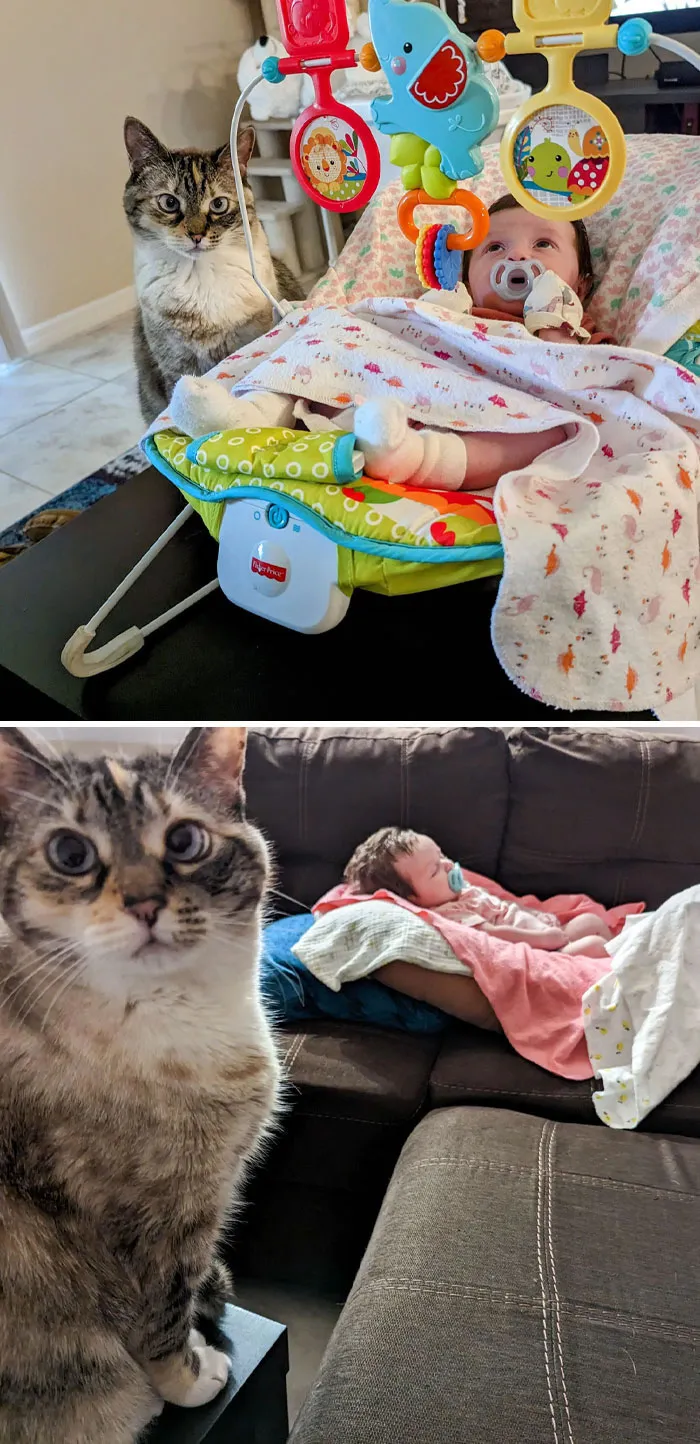 Лучшая няня на свете.