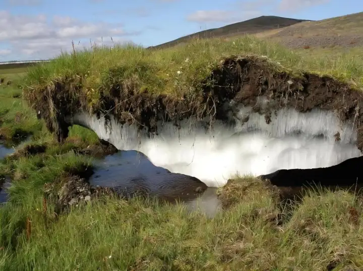 Вечная мерзлота по мере таяния высвобождает миллионы спящих микроорганизмов.