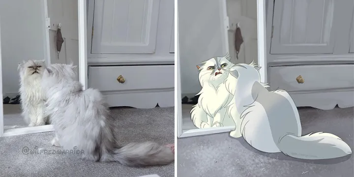 «Ты еще кто такой?»