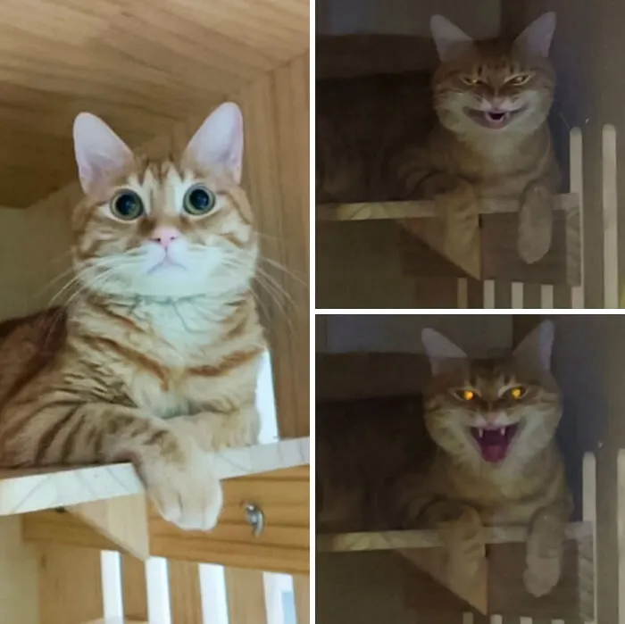 «Переключился с милого на злого».