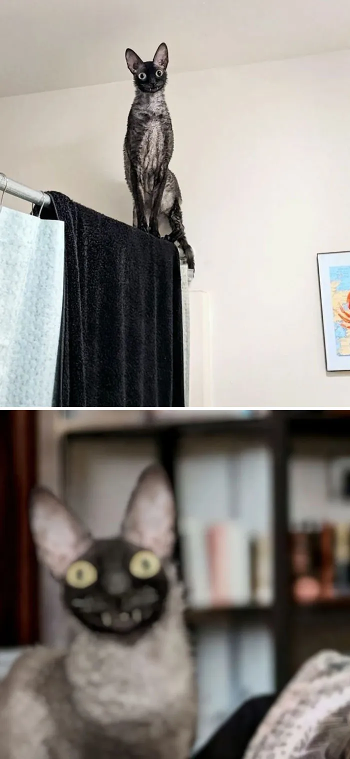 «Я представляю вам самое страшное изображение в фотопленке».