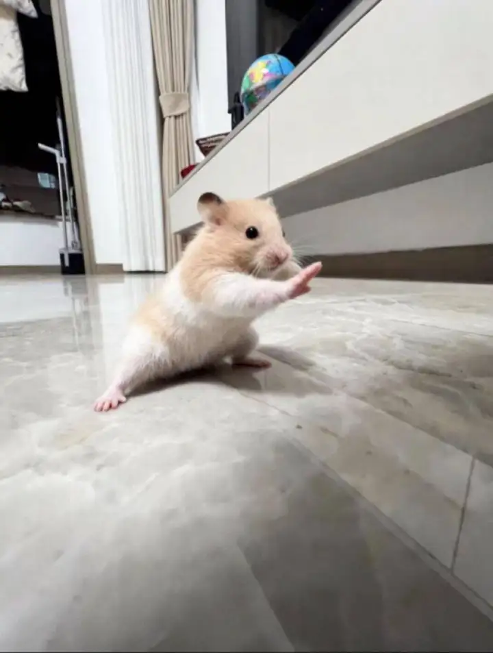 Оригинальная фотография.