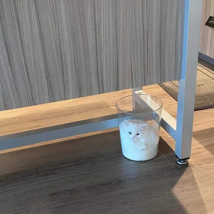 Стакан молока.