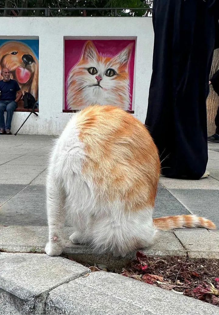 Идеальная картина.