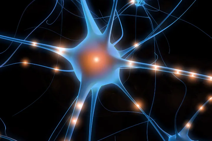 Искусственный синапс в точности воспроизводит работу биологического аналога.