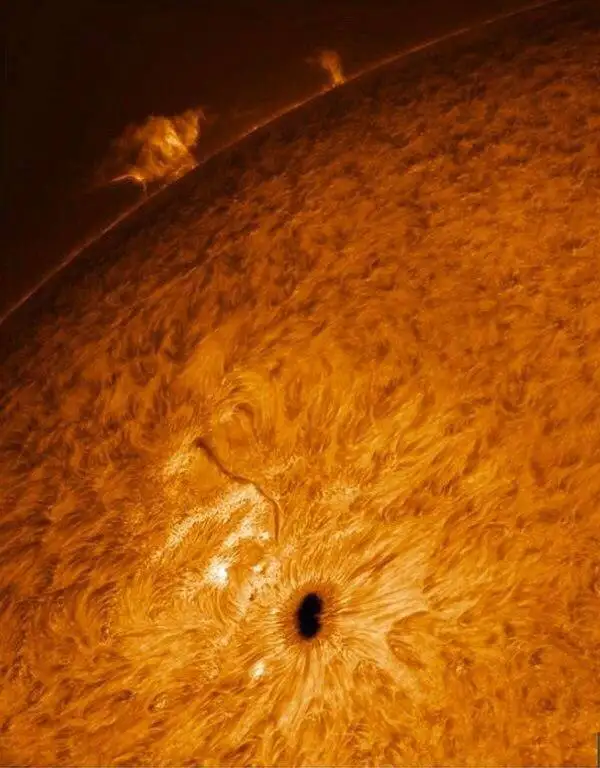 Снимок солнца от Пола Эндрю, сделанный в его саду.