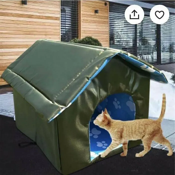 Ну да, настоящие котята и домики в большом дефиците.