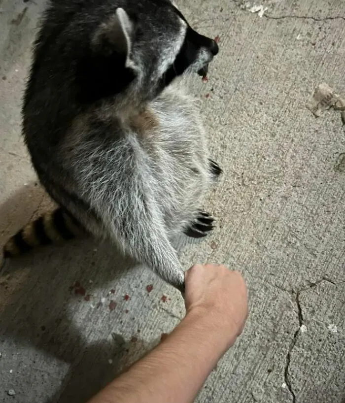 «Мы с мамой идем в школу в первый день учёбы».