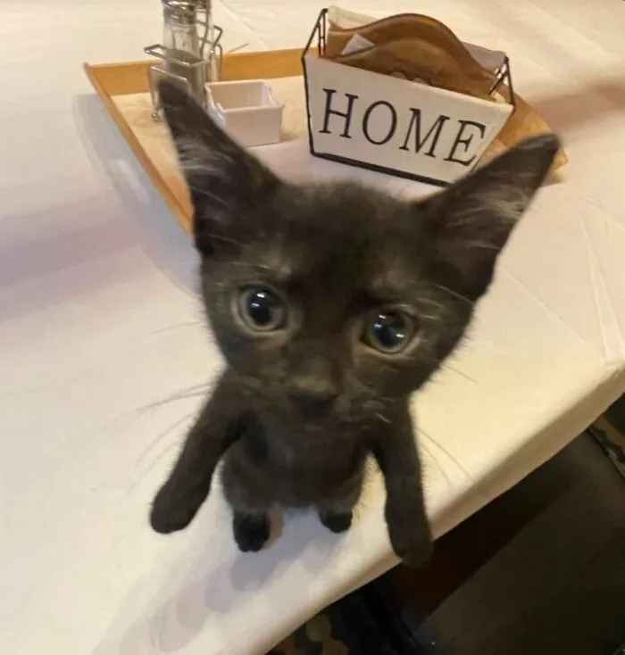 «А что ты делаешь?» 