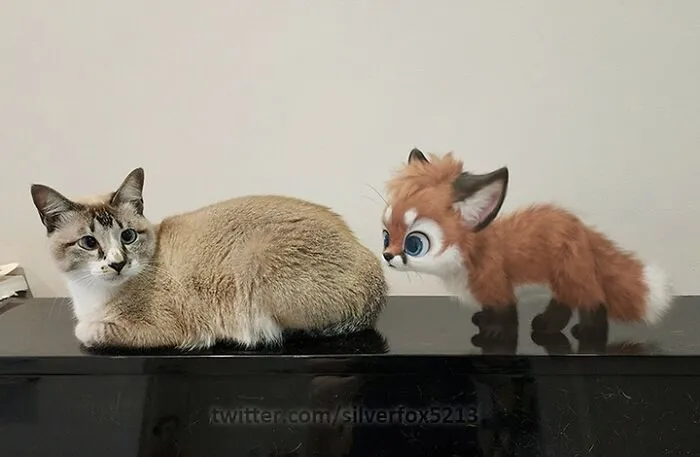 Первое знакомство.